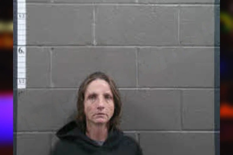 Joy Harper mugshot – Banks County , Georgia Joy Harper mugshot