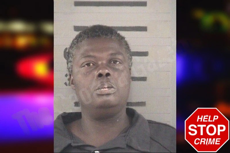 Joyce Hillsman Mugshots