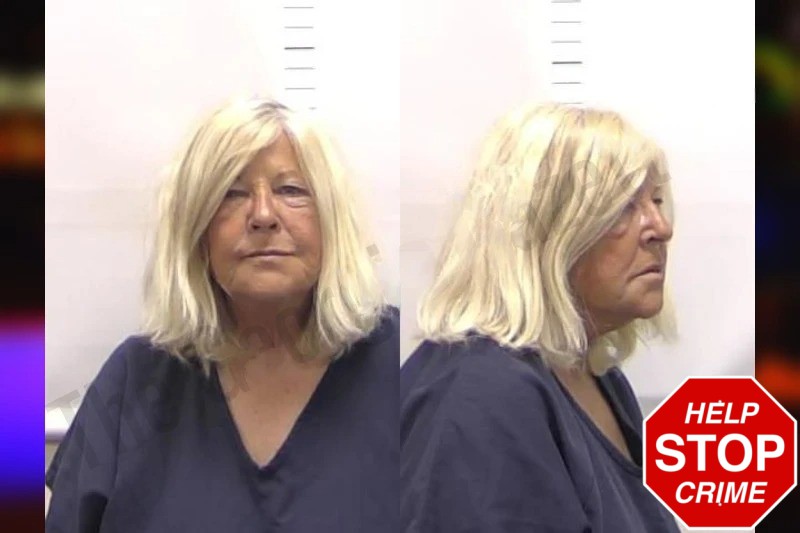 Joyce Lewis Mugshots