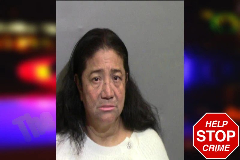 Judith Tami Mugshots