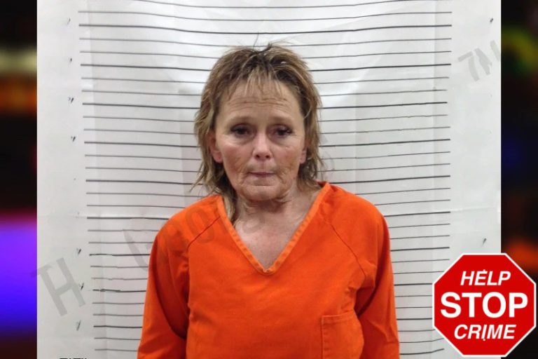 Judy Denson mugshot – Pickens County , Georgia Judy Denson