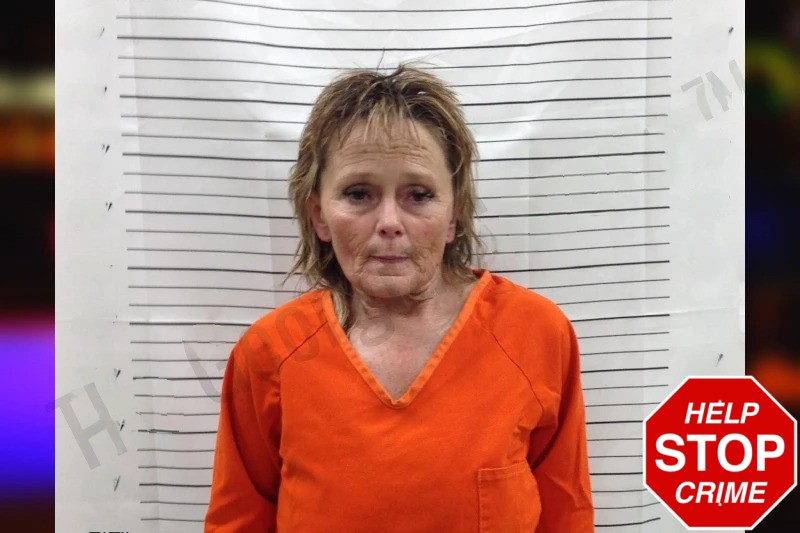 Judy Denson Mugshots