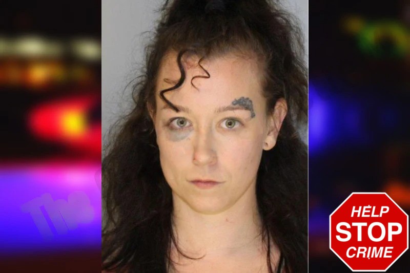 Julia Krieger Mugshots