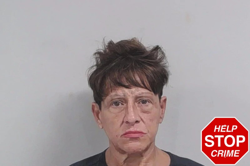 Julie Gigi Mugshots