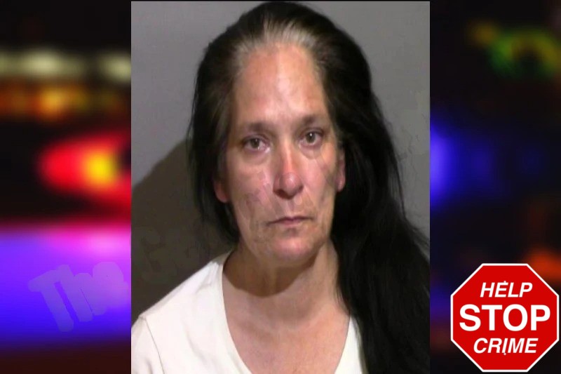 Julie Lowery Mugshots