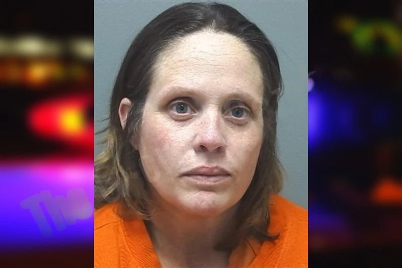 Julie Prindle Mugshots