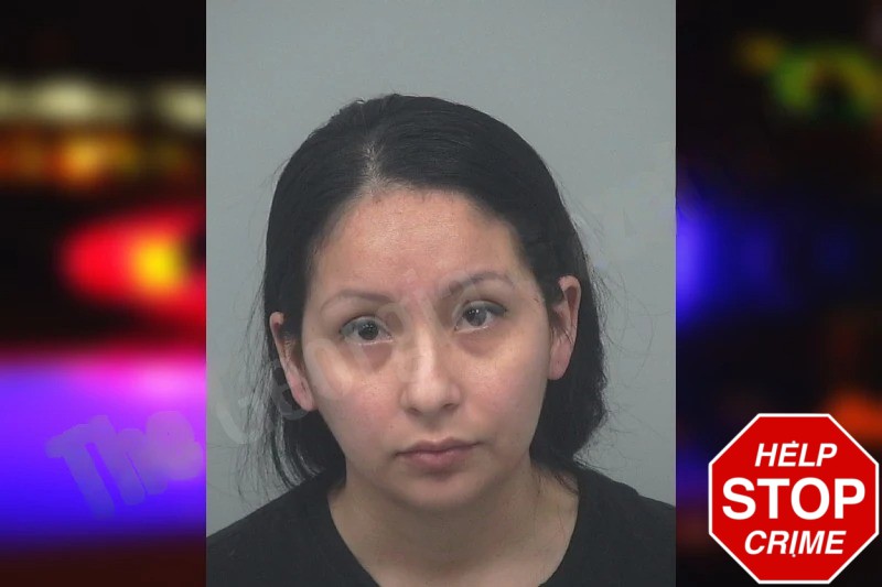 Julissa Becerrill Rodriguez Mugshots