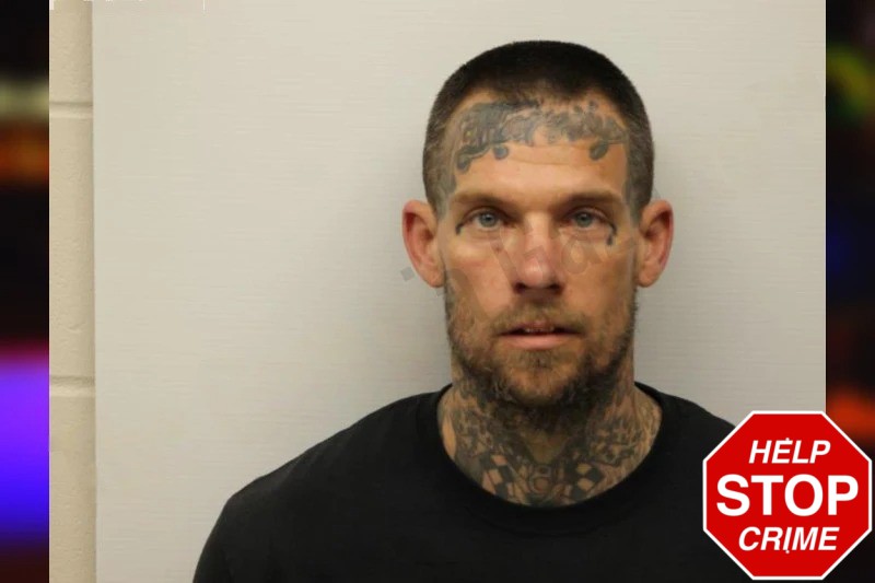 Justin Baillie mugshot – Chatham County , Georgia Justin Baillie mugshot