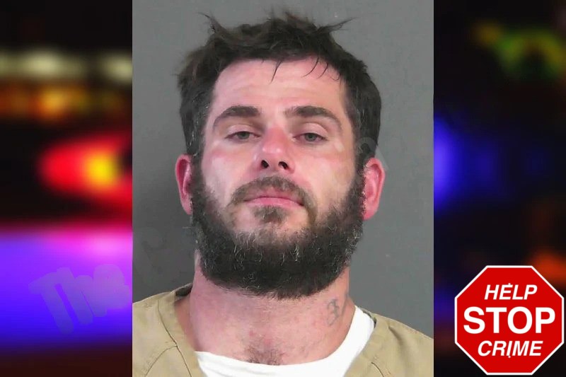 Justin McNabb Mugshots