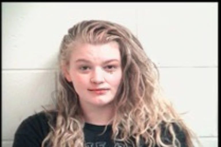 Justine Lockwood mugshot – Henry County , Georgia Justine Lockwood