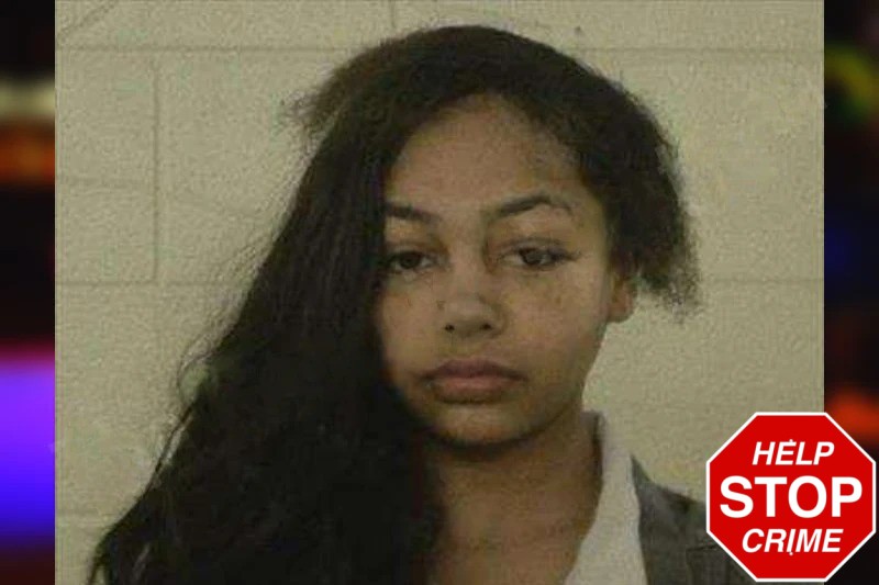 Justyce Holland Mugshots