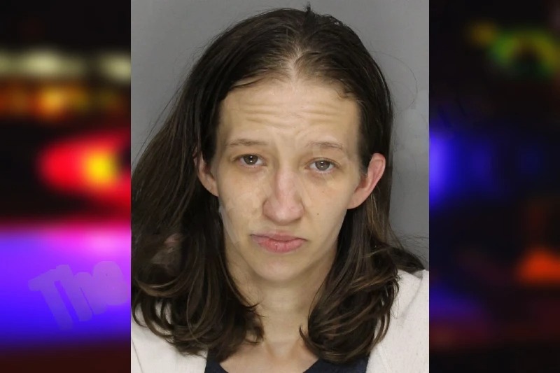 Kaley Nelson Mugshots