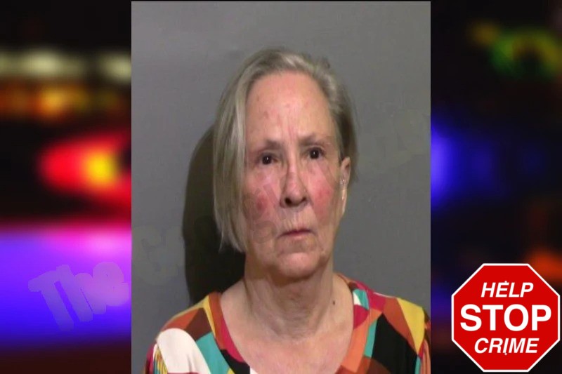 Karen Biggers mugshot