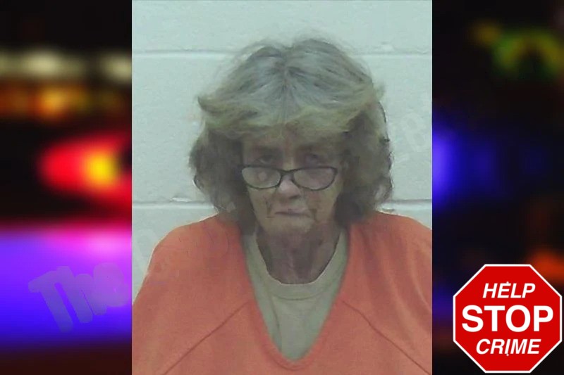 Karen Blalock Mugshots