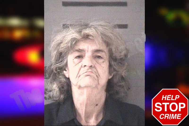 Karen Blalock Mugshots