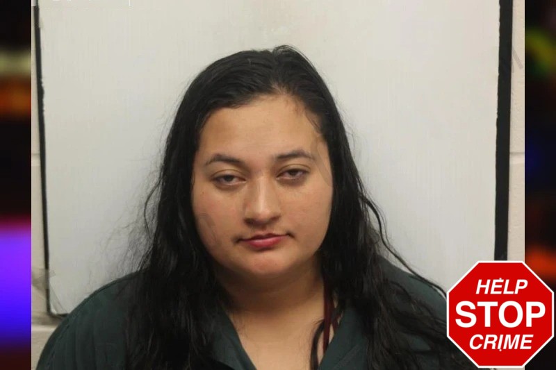 Karen Garcia Gamez Mugshots