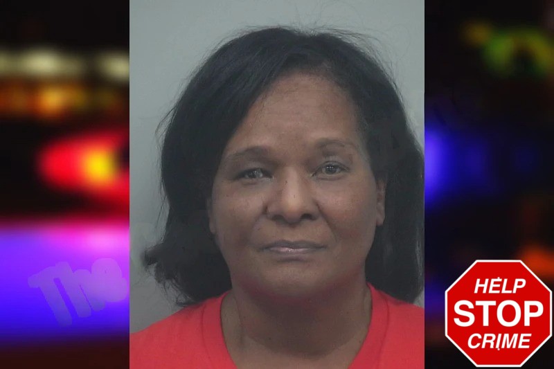 Karen Langston Mugshots