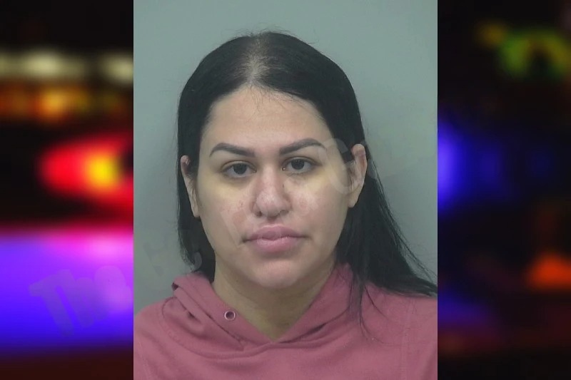 Karen Mendez Mugshots