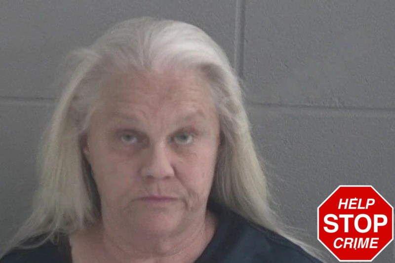 Karen Story Mugshots