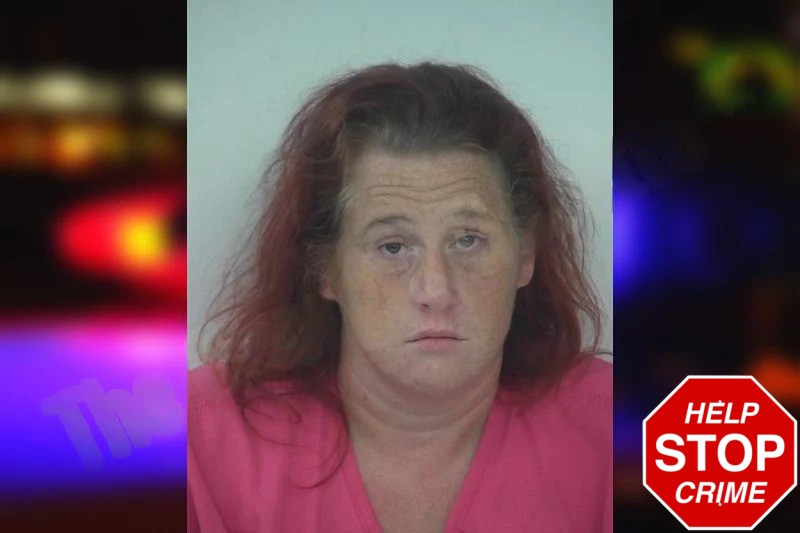 Kari Hatchett mugshot