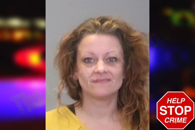 Kari Klinger Mugshots