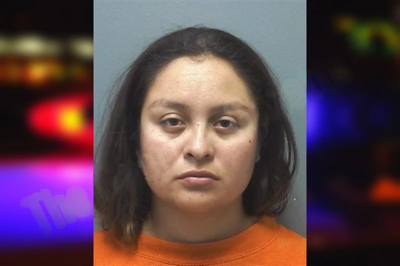 Karina Lugo Mugshots