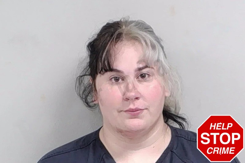 Karlyn Rose mugshot – Lowndes County , Georgia Karlyn Rose mugshot