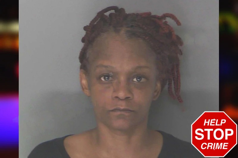 Kateri Flood Mugshots