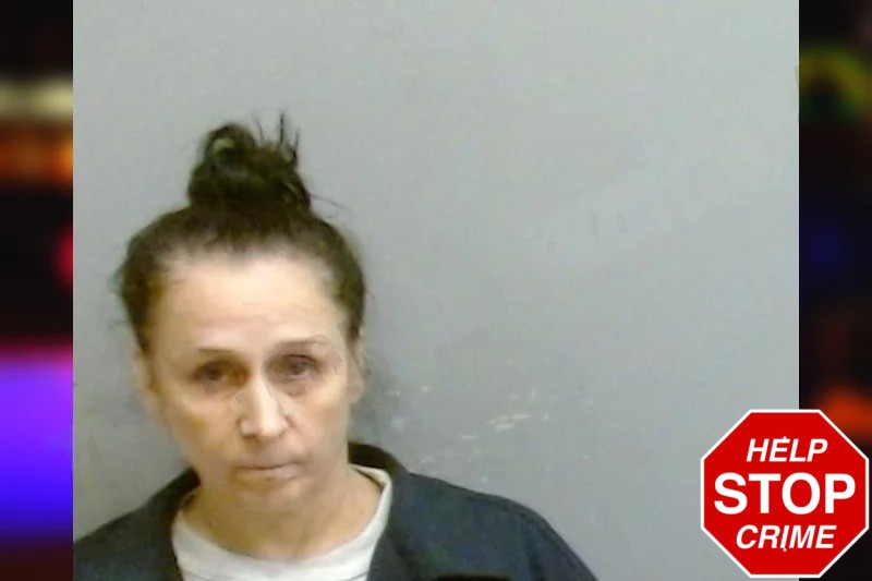 Katherine Diorio Mugshots