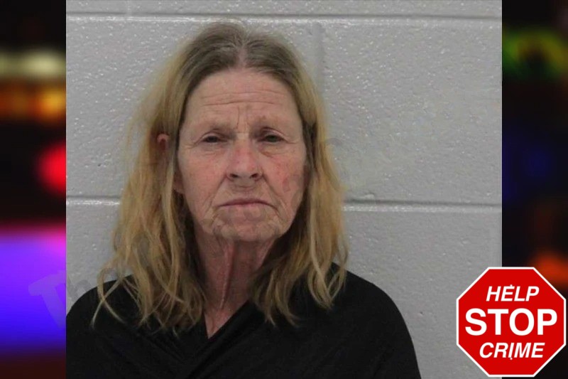 Kathy McCormick Mugshots