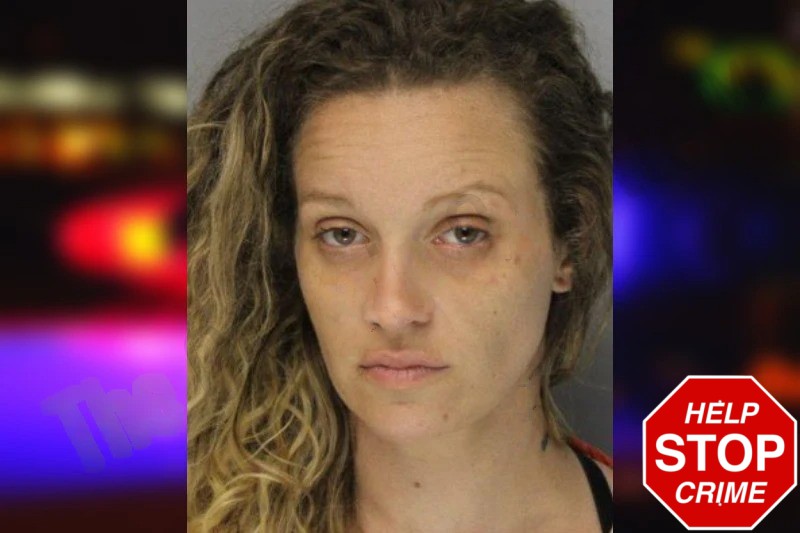 Katie Hollibush Mugshots