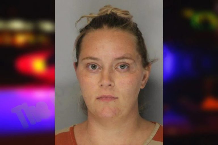 Katie Newborn mugshot – Hall County , Georgia Katie Newborn