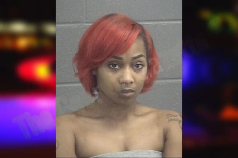 Kayhla Mincy Mugshots