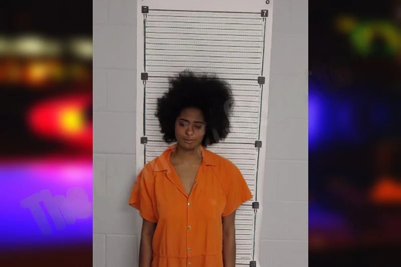 Kayla Collins Mugshots