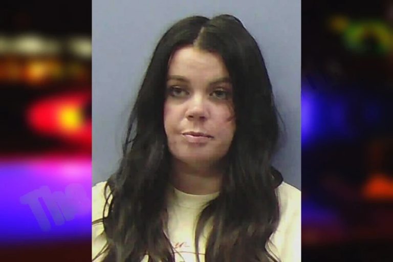 Kayla Hines mugshot – Chattooga County , Georgia Kayla Hines