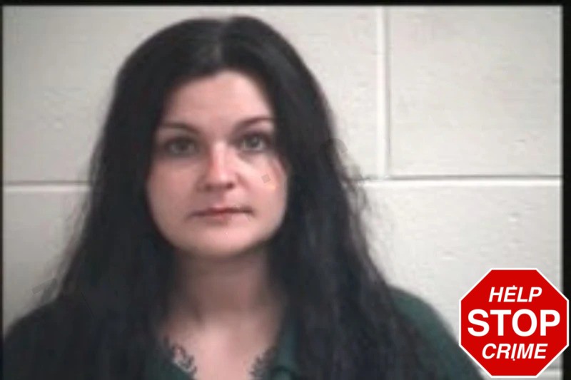 Kayla Hollis Mugshots