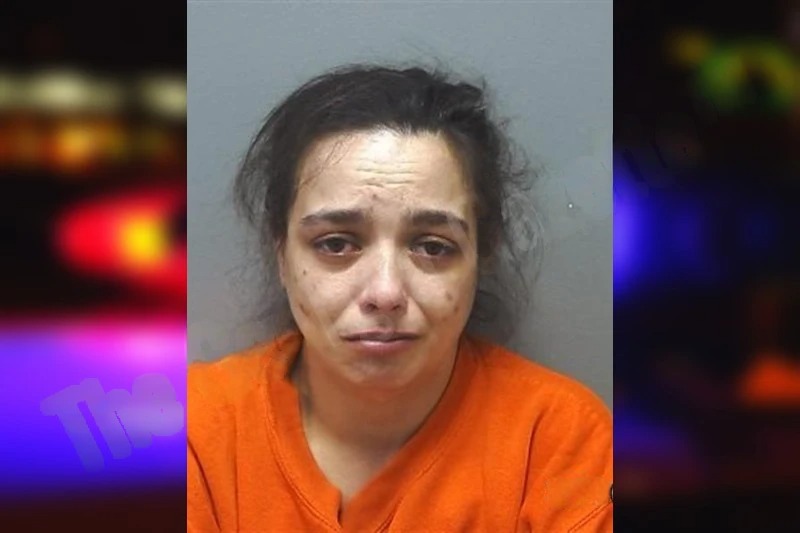 Kayla Mayfield Mugshots