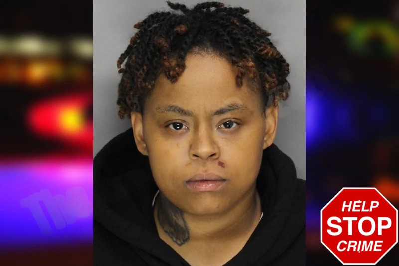 Kaylah Briscoe Mugshots