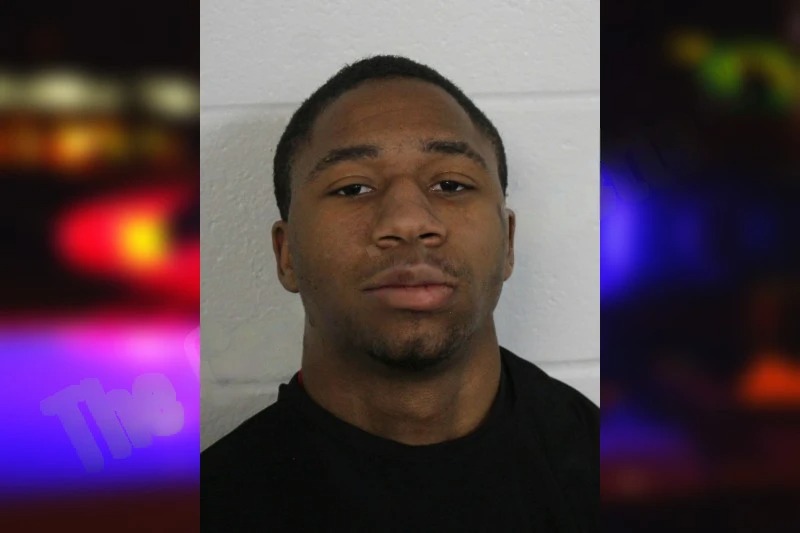 Kaylin Williams Mugshots