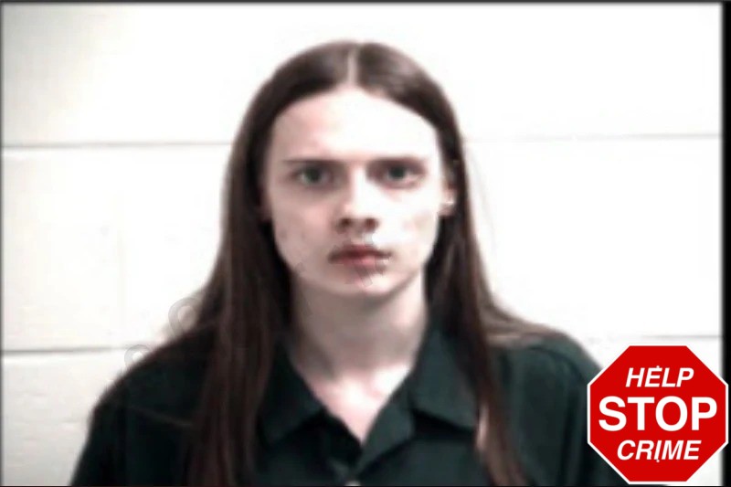 Keirston Brown mugshot – Henry County , Georgia Keirston Brown mugshot