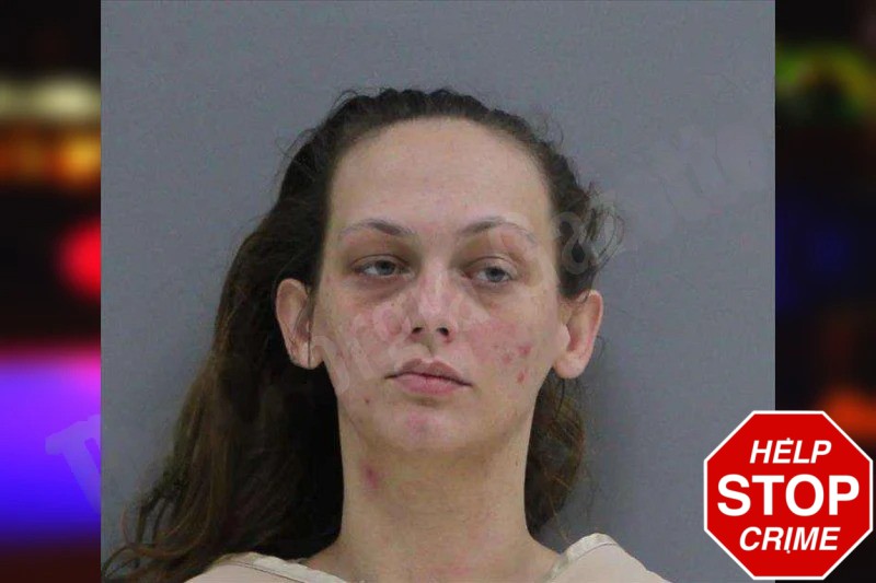 Kelli Kirkland mugshot – Rabun County , Georgia Kelli Kirkland mugshot