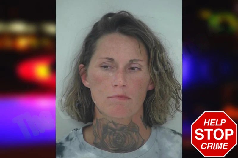 Kelly Dettmering Mugshots
