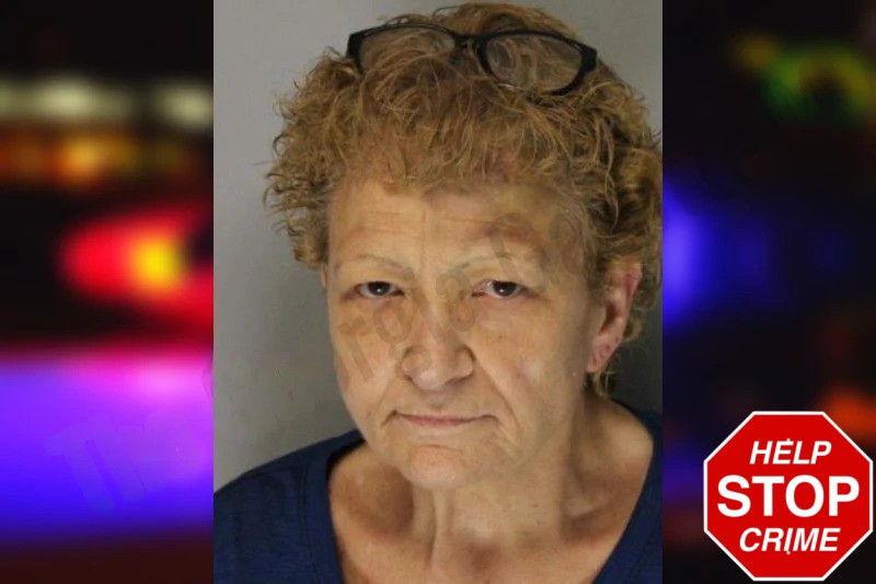 Kelly McGinley Mugshots