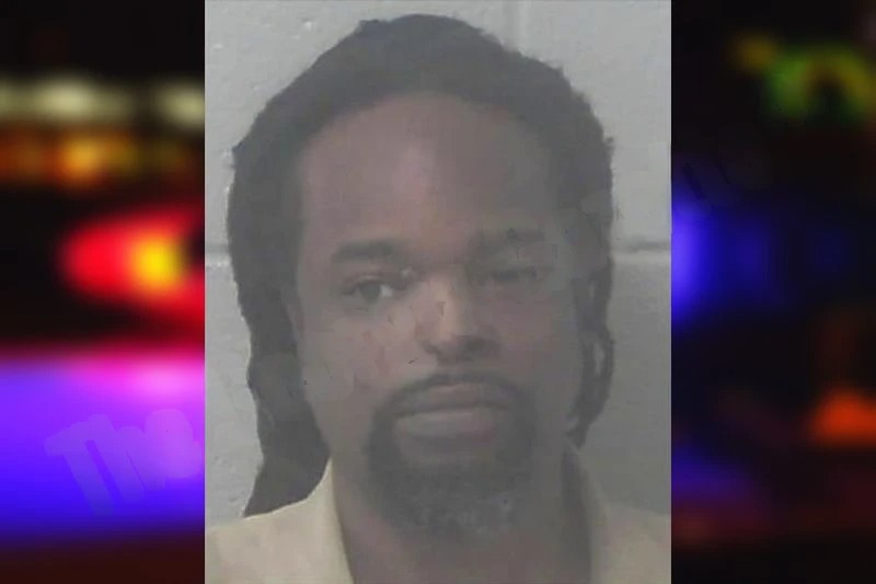 Kelly Stone Mugshots