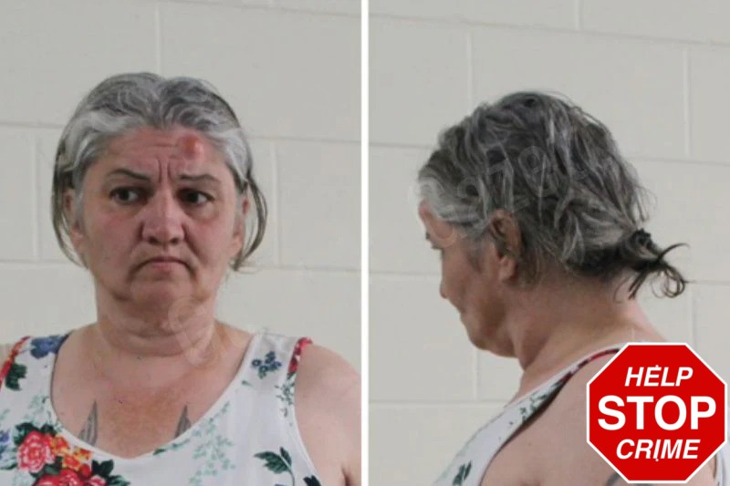 Kelly Tenney Mugshots