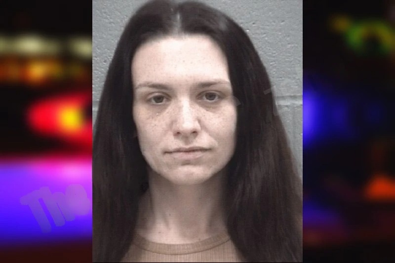 Kelsey Butchino Mugshots