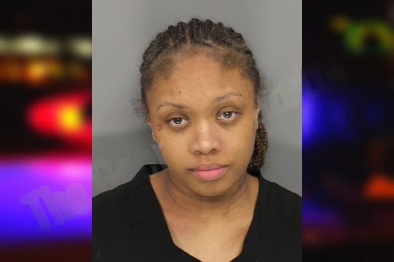Kennedi Lee mugshot – Cobb County , Georgia Kennedi Lee mugshot