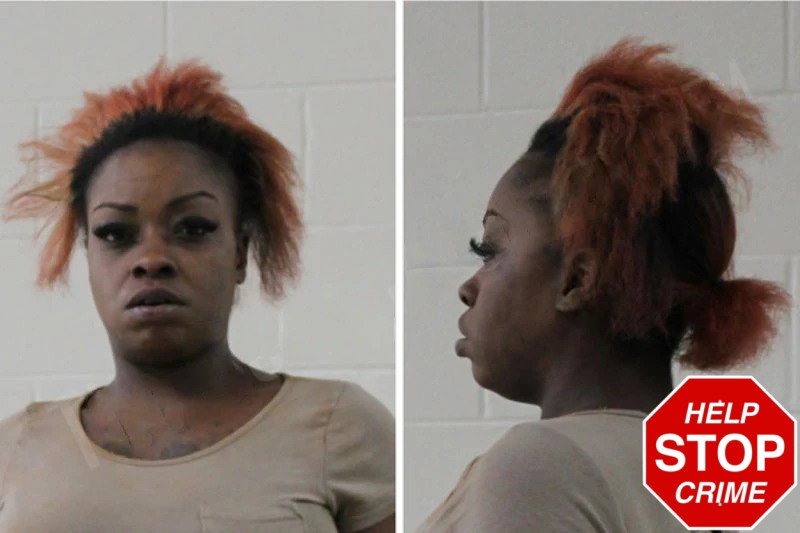 Kenya Bibbs Mugshots