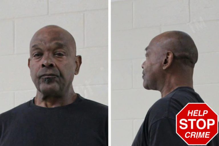 Kim Lester mugshot – Houston County , Georgia Kim Lester