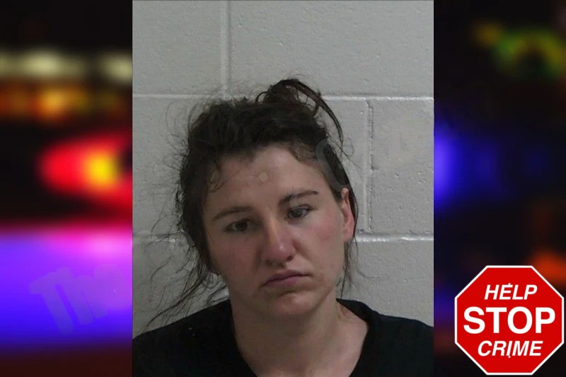 Kimberly Burke Mugshots